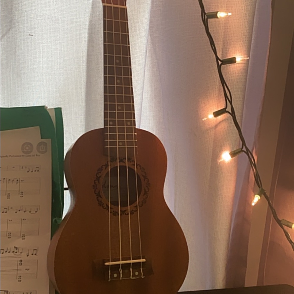 Brand new ukelele